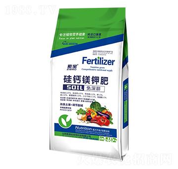 ���}�V⛷�-�ό�-�Z�M�}(c��ng)