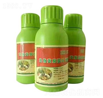 �����S�����~���-���̷ʘI(y��)