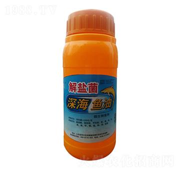 ���}����~��-���̷ʘI(y��)