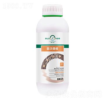 �W�ֱ���-�W�m��