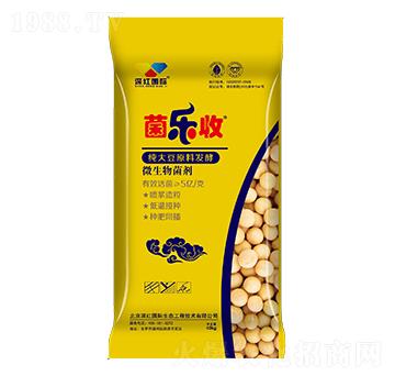 ΢�������-������-��t��(gu��)�H