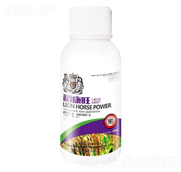 100g������-�{�R�ʘI(y��)