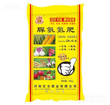 �就����28-6-6-�t�շʘI(y��)