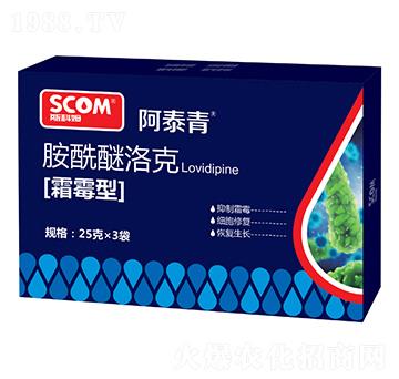 ˪ù�Ͱ��������-��̩��-˹��ķ