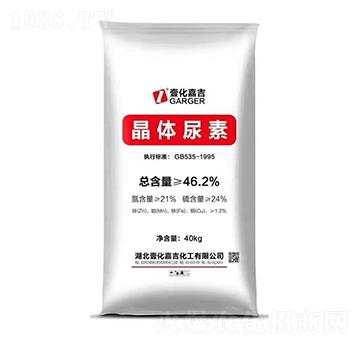 ���w����-Ҽ���μ�