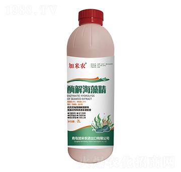 ø�⺣�徫-�����r