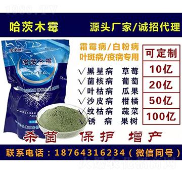 ����ľù-�����-�ͱ���Դ