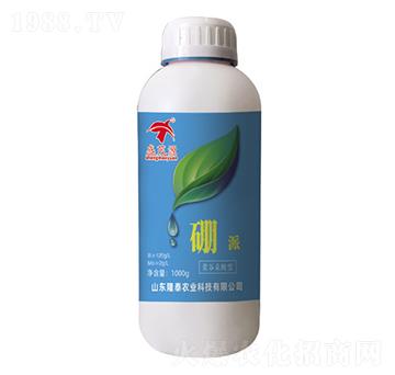 ����-¡̩�r(n��ng)�I(y��)