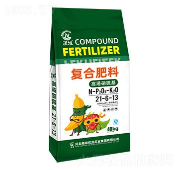 �ͺϷ���21-6-13-���Ѓ�(y��u)�x