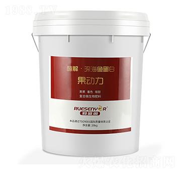 ø����~����-������-����������