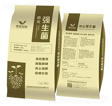 ������-̩������