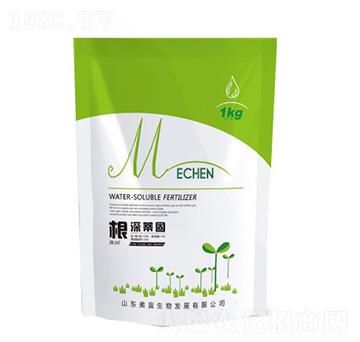 ����ٹ�-�\������