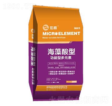 �����Ṧ���Ͷ�Ԫ��-�\������