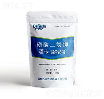 ��������-�̿�-�̓��_