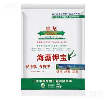 ����⛌�-Ѫ��-�и�����