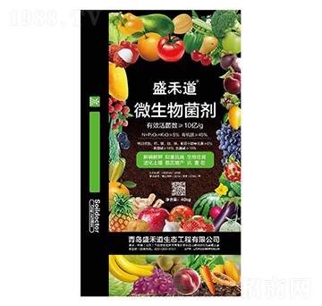 ΢����������ڣ�-ʢ�̵�