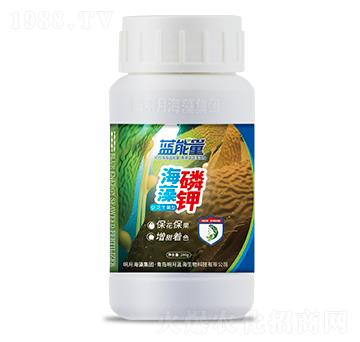 �ٻ��S���ͺ������-�{����