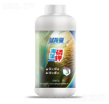 1kg�ٻ��S���ͺ������-�{(l��n)����