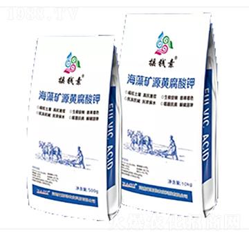 ����VԴ�S�����-�u�X������