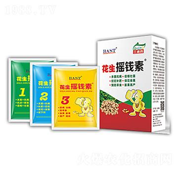 �����u�X��-�u�X������