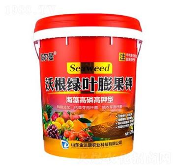 �ָ��G�~����-������-���_���r�I(y��)