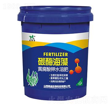 ̼ø����-�G������