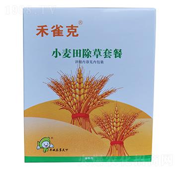 С�������ײ�-��ȸ��-�S�՘�