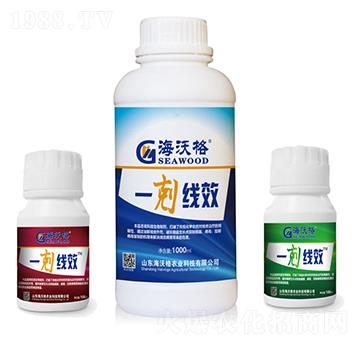 һ�w��Ч-���ָ�