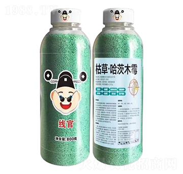 �ݲݡ�����ľù-����-����r��