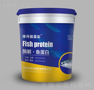 ø�⡤�~(y��)����-�G���(y��ng)�˲�