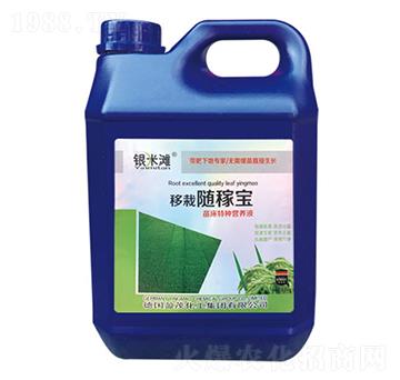 �����S�ތ�-�y�מ�����