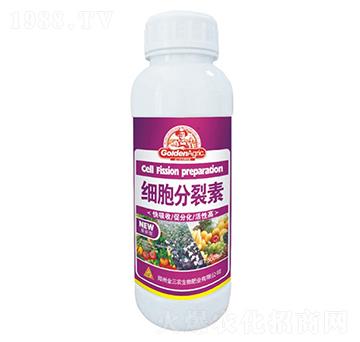 500ml��(x��)��������-�����r(n��ng)