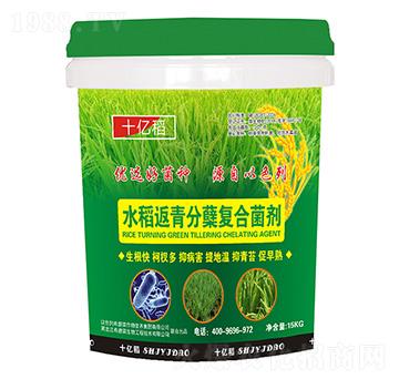 ˮ��������Y�ͺϾ���-ʮ�|��-ϣ���R����