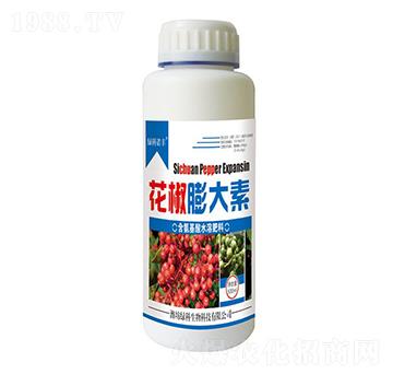 ���������-�G���Z�S-�G������