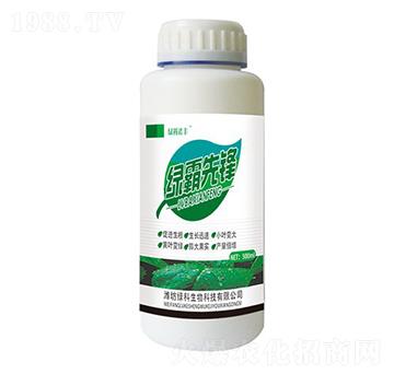 �G�����h-�G���Z�S-�G������