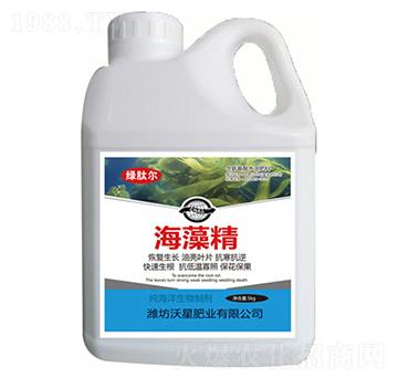 ���徫-���ǷʘI(y��)