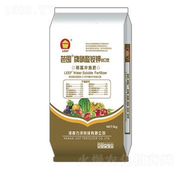 �����@⛛_ʩ��-�Ŷ�-�����Ƽ�