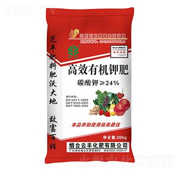 �ЙC⛷�-֥�S-���S����