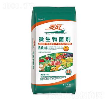 5�|��΢�������-���L(f��ng)����