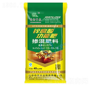 �������19-19-19-�߿����r