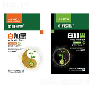 �׼Ӻ�ϵ���ײͷ�-�пƐ۵�-�п�