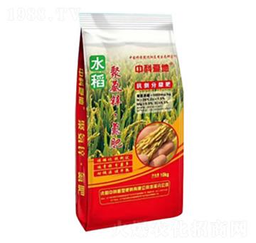 �۰��\������-�пƐ۵�-�п�