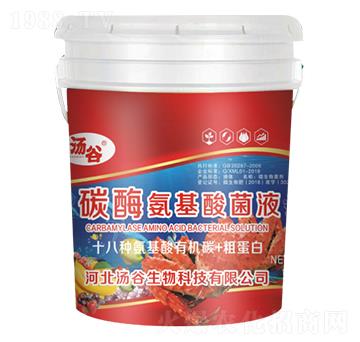 ̼ø������������Һ-����