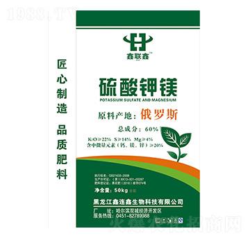 ������V-��(li��n)��-�й��߿�