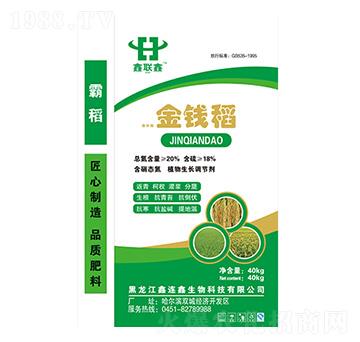 ���X��-��(li��n)��-�й��߿�