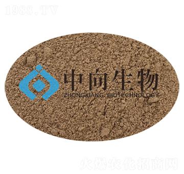 ��(c��)��ѿ�ߗU��-��������