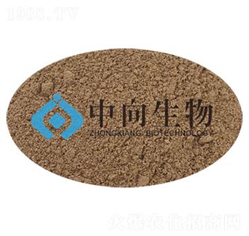 �����{(di��o)�턩-��������