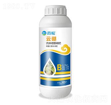 ���w�Ǵ����-����-����