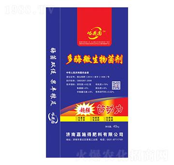 ��ø΢�������-�����A-��ʩ��