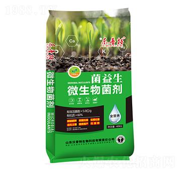 ������΢�������-��(l��)����-������